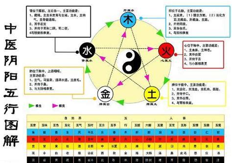 金生水 五行|金为何生水